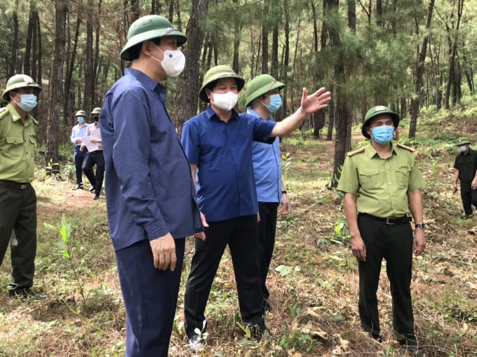 Thứ trưởng Lê Quốc Doanh (giữa) kiểm tra công tác phòng cháy, chữa cháy rừng tỉnh Thanh Hóa. Ảnh: Võ Dũng.
