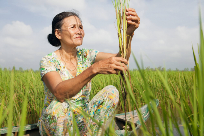 Bayer dự kiến hỗ trợ 2 triệu nông hộ sản xuất nhỏ trên toàn cầu, trong đó có Việt Nam. Ảnh: TL.