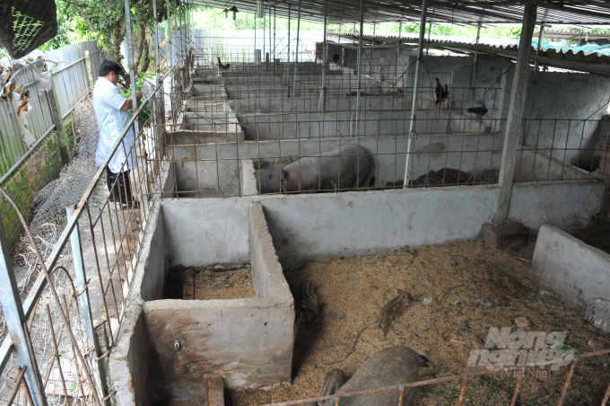 Biotechnology is now believed to be an important key in large-scale farms in the Mekong Delta. Photo: Huu Duc.