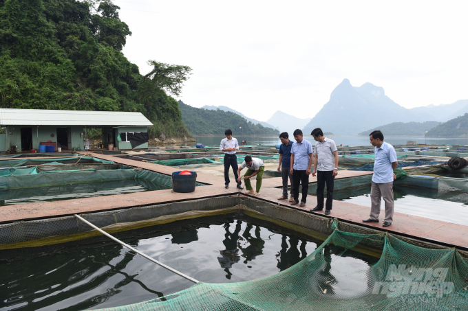 Nhờ có diện tích mặt Hồ thủy điện Tuyên Quang khá rộng, nhiều hộ dân của huyện Na Hang đã có thu nhập khá với nghề thủy sản. Ảnh: Đào Thanh.