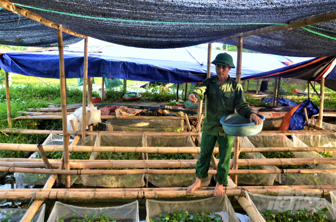 Từ mô hình của anh đến nay đã có 20 hộ đến học hỏi kinh nghiệm kỹ thuật. Riêng trong xóm của anh đã có 3 hộ làm theo. Như hộ gia đình anh Nguyễn Kim Viện, Nguyễn Kim Quyền, Nguyễn Hữu Quý mỗi năm thu từ 200-500 triệu đồng. Ảnh: Đào Thanh.