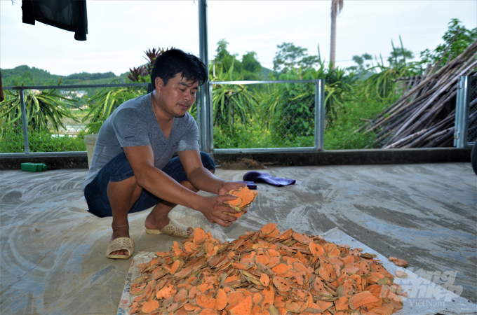 Nguồn thức ăn chính của ốc là bèo, rau củ quả, khoai lang… Anh hướng mô hình theo hướng VietGAP, đặc biệt không sử dụng hóa chất trong việc thau rửa ao nuôi. Ảnh: Đào Thanh.