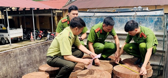 Số gỗ nghiến được lực lượng Công an huyện Vi Xuyên thu giữ. Ảnh: Báo Hà Giang.