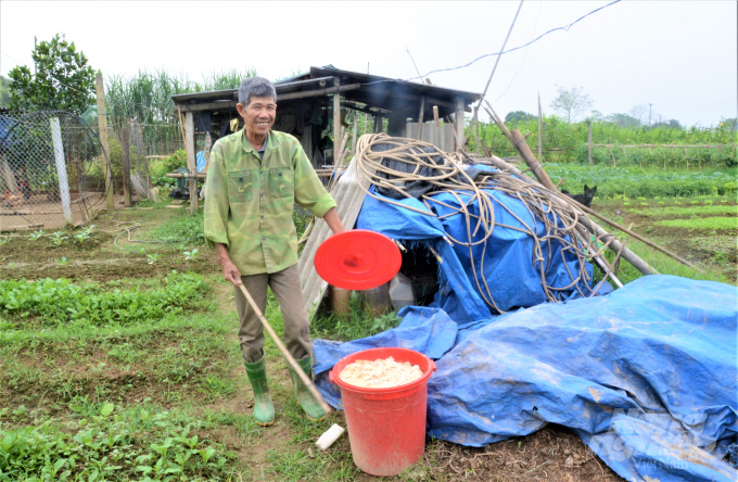 Khu ủ phân hữu cơ của gia đình ông Lại Bá Thân, hộ trồng rau ở tổ 2, phường Tân Hà, TP Tuyên Quang. Ảnh: Đào Thanh.