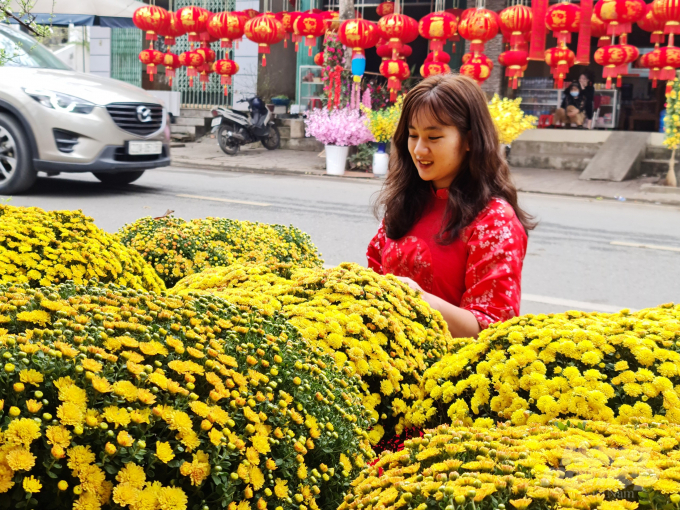 Ngoài đến mua sắm thì không ít bạn trẻ đến phố hoa ở thành phố Tuyên Quang để chụp hình lưu niệm.