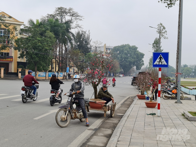 Theo những người bán hoa, cây cảnh ở thành phố Tuyên Quang thì năm nay, do ảnh hưởng của dịch Covid-19 nên sức mua của người dân giảm, nên giá bán các loại hoa, cây cảnh cũng thấp hơn.