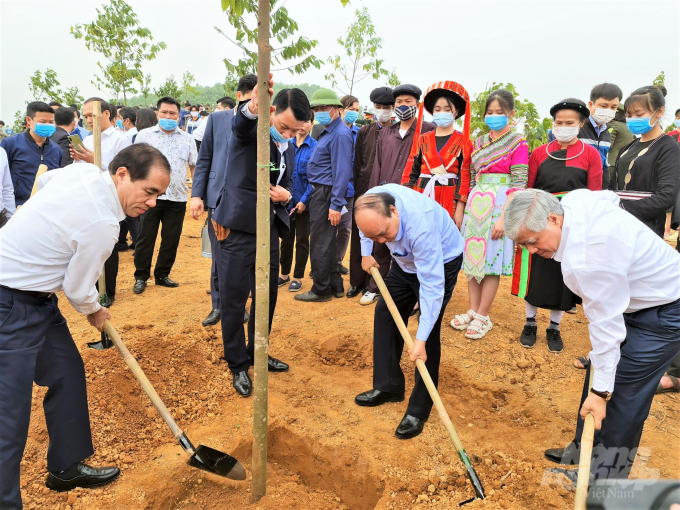 Thủ tướng Nguyễn Xuân Phúc và các đại biểu tham gia trồng cây chò chỉ tại Tết trồng cây. Ảnh: Đào Thanh.