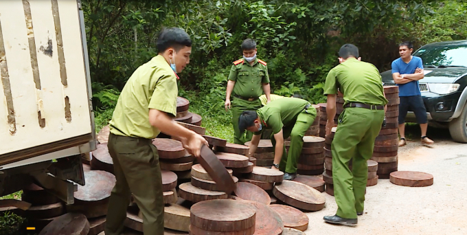 Lực lượng chức năng tỉnh Hà Giang tạm giữ và đưa số gỗ nghiến về trụ sở Chi cục Kiểm lâm tỉnh Hà Ginag để tiếp tục điều tra, xử lý. Ảnh: Lê Hoàn