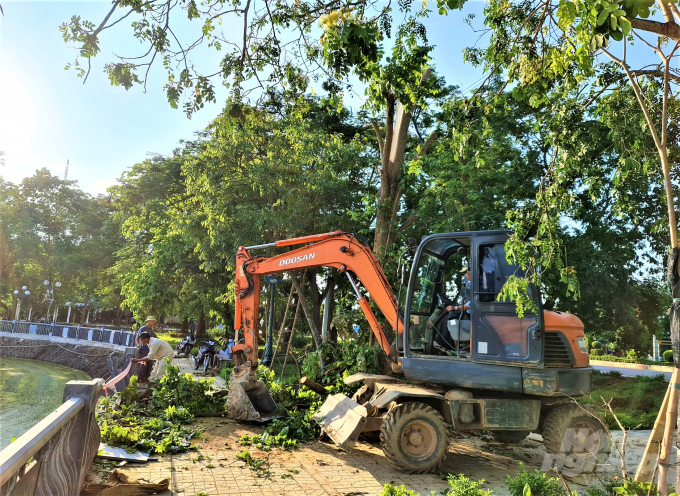 Mưa lớn khiến một số cây lớn tại thành phố Tuyên Quang bị đổ gãy. Ảnh: Đào Thanh.