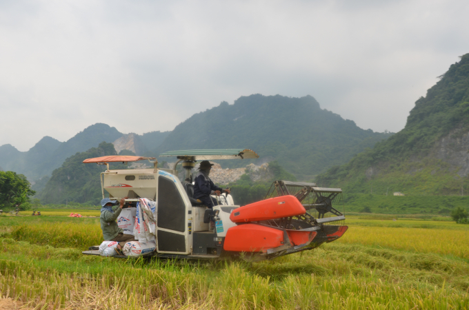 'Không còn nạn đói' là chương trình nhân văn nhằm cải thiện thể trạng, tầm vóc của con người Việt Nam. Ảnh: Đào Thanh.