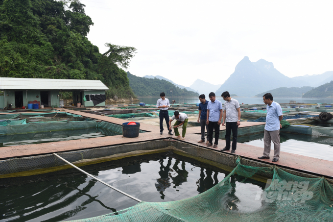 Với trên 8.000ha mặt hồ thủy điện là điều kiện thuận lợi để huyện Na Hang phát triển nghề nuôi thủy sản sạch. Ảnh: Đào Thanh.