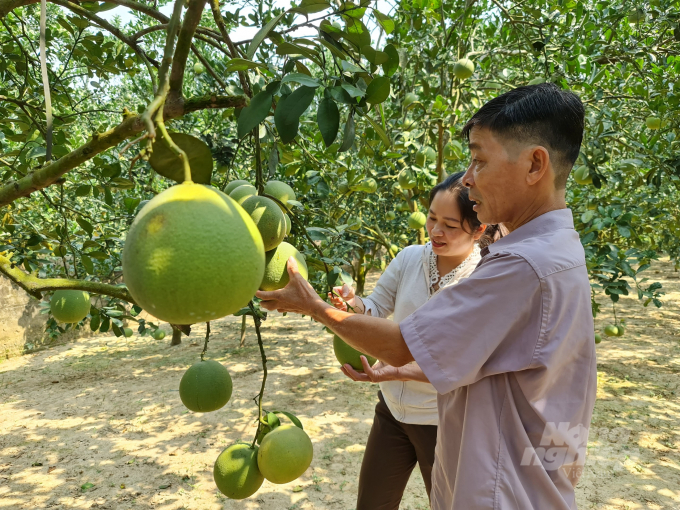Từ phong trào xây dựng nông thôn mới, đến nay tỉnh Tuyên Quang có 79 sản phẩm đạt sao OCOP. Ảnh: Đồng Thưởng.