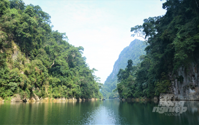 Đến nay, toàn tỉnh Tuyên Quang có hơn 47.000 ha rừng đặc dụng. Ảnh: Đào Thanh.