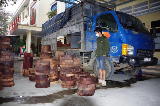 292 khúc gỗ nghiến dạng thớt được lực lượng công an thành phố Hà Giang thu giữ. Ảnh: Tư liệu.