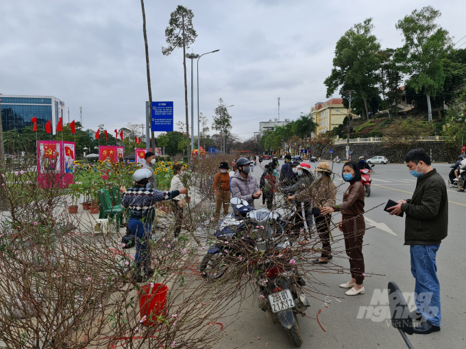 Khoảng 3 hôm nay, chợ hoa ở thành phố Tuyên Quang mới tấp nập người mua.