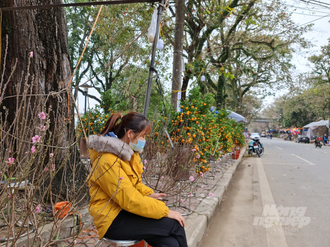 Trước đó khoảng 1 tuần, các cửa hàng bán đào hoa, cây cảnh ở thành phố Tuyên Quang vắng khách.