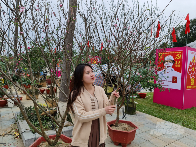 Theo những người bán đào, hoa cây cảnh ở Tuyên Quang thì dù giá năm nay không cao nhưng do bán hết hàng nên trừ chi phí họ vẫn có lãi. 