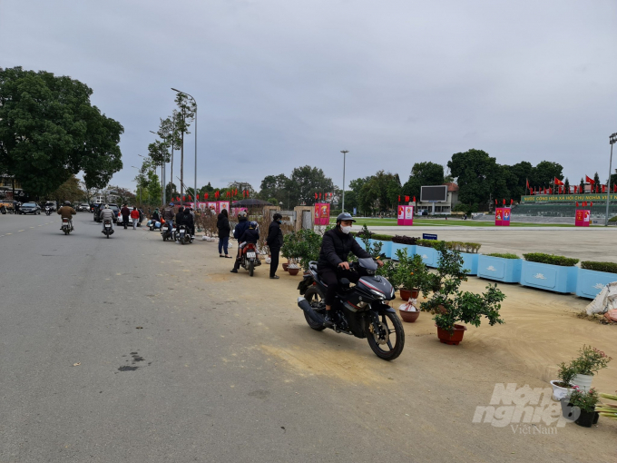 Đến đầu giờ chiều 29 Tết, các tuyến phố bán đào, quất, hoa Tết ở thành phố Tuyên Quang gần như 'cháy hàng'.