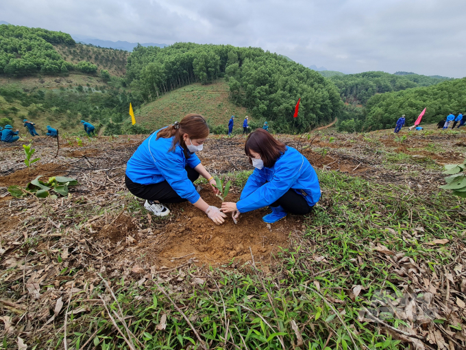Tỉnh Tuyên Quang phấn đấu đến cuối tháng 7 sẽ cơ bản hoàn thành kế hoạch trồng rừng trong năm 2022.