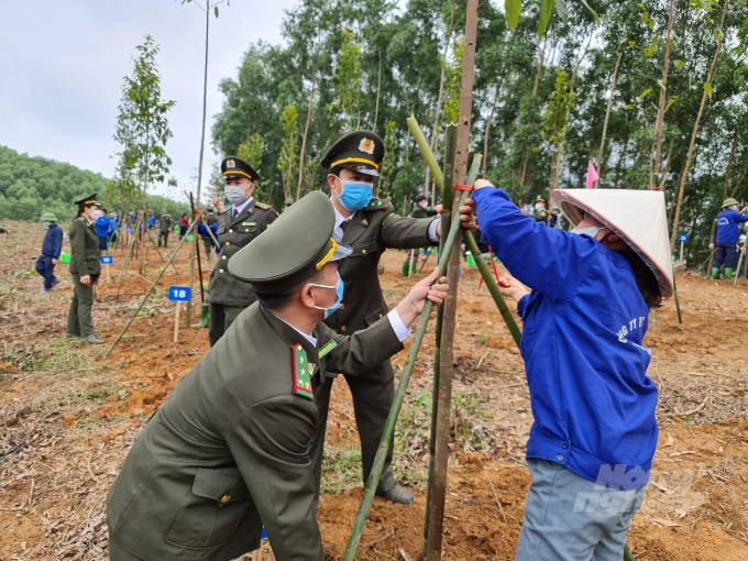 Vụ trồng rừng năm nay, tỉnh Tuyên Quang đặt ra mục tiêu trồng mới hơn 10.000ha rừng.