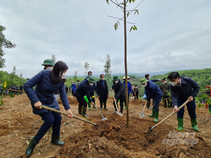 Các đại biểu Trung ương và tỉnh tham gia Tết trồng cây tại tỉnh Tuyên Quang. 