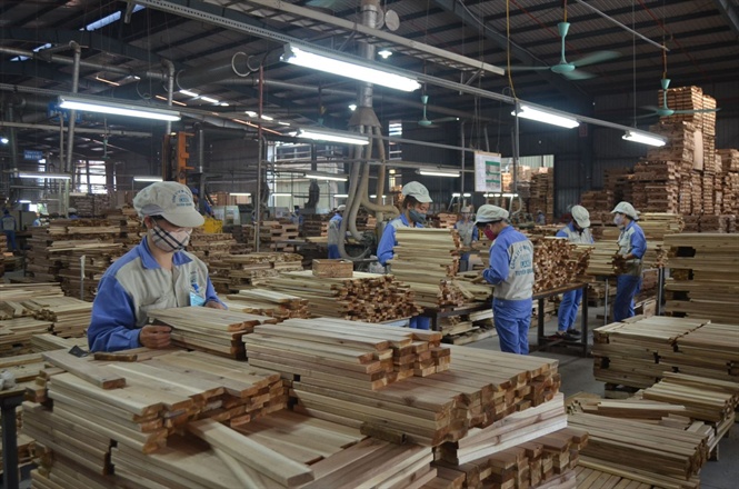 Chế biến gỗ xuất khẩu.