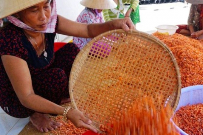 Nghề truyền thống làm tôm khô ở huyện Đầm Dơi (Cà Mau).