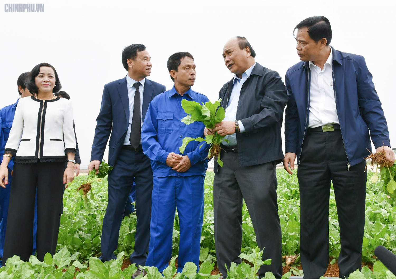 Thủ tướng Nguyễn Xuân Phúc thăm vùng nguyên liệu của DOVECO ở Đồng Giao, Tam Điệp, Ninh Bình. Ảnh: chinhphu.vn.