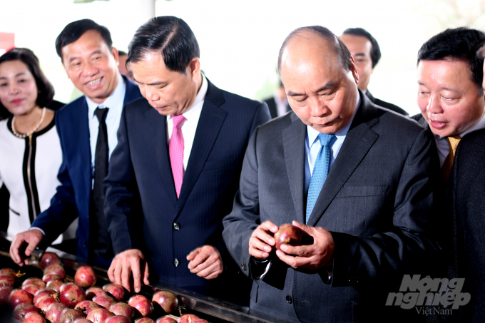 Thủ tướng thăm nhà máy chế biến nông sản của DOVECO tại Gia Lai. Ảnh: Lê Bền.