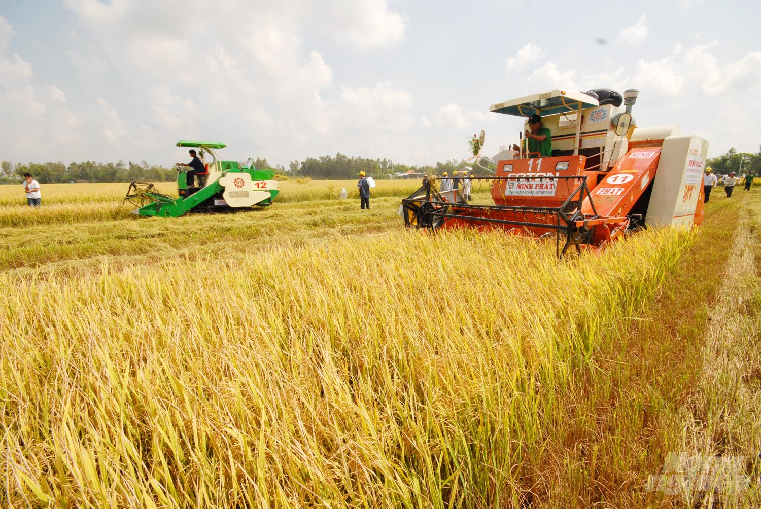 Cơ giới hóa giúp lúa gạo giảm tổn thất sau thu hoạch. Ảnh: Tùng Đinh.