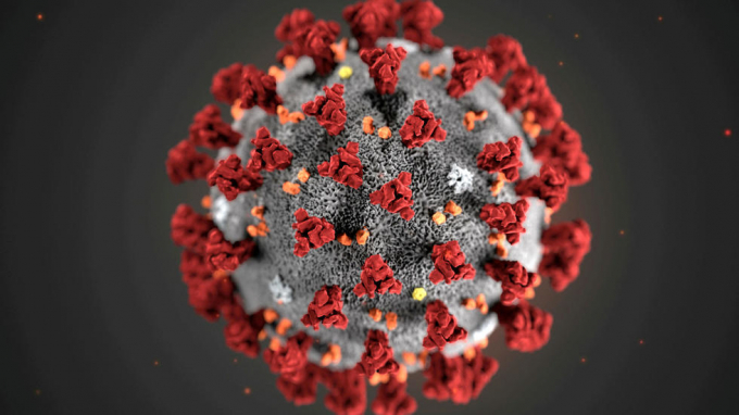 Hình ảnh virus Corona do Trung tâm kiểm soát dịch bệnh ở Atlanta, Georgia cung cấp. Ảnh: Alissa Eckert, Dan Higgins/Reuters.