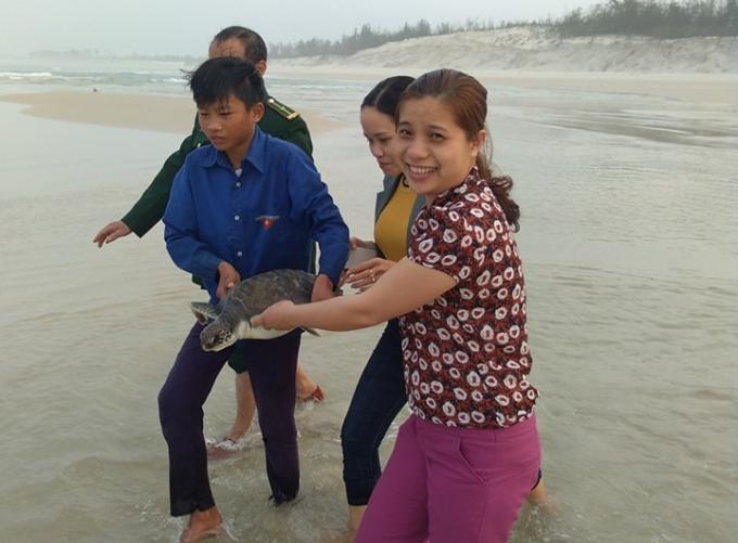 Chị Hồng tham gia hoạt động thả rùa về biển.
