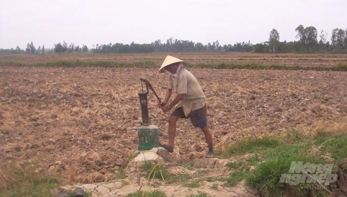 Nông dân huyện An Biên, Kiên Giang sau khi thu hoạch lúa ĐX, cày phơi đất chờ mưa xuống mới gieo sạ lại vụ lúa HT. Ảnh: Trung Chánh.