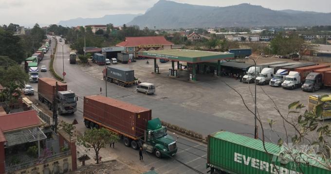 Hàng trăm xe container dừng trước cửa khẩu Lao Bảo để nghe ngóng thông tin. Ảnh: Công Điền.