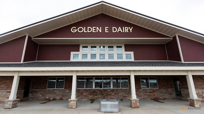 Phòng vắt sữa tại trang trại Golden E Dairy của gia đình Eble gần West Bend, Wisconsin, Hoa Kỳ, ngày 1 tháng 4 năm 2020. Ảnh: Reuters.