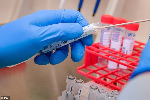 Kỹ thuật viên lấy que bông của bệnh nhân Covid-19 từ ống vô trùng nhằm thực hiện xét nghiệm chẩn đoán bên trong Trung tâm Virus học Chuyên khoa tại Bệnh viện Đại học Wales. Ảnh: PA.