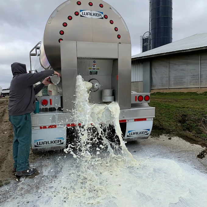 Nhiều công ty ở bang Wisconsin phải đổ hàng nghìn lít sữa vì virus Corona khiến lực cầu giảm mạnh. Ảnh: Milwaukee Journal Sentinel.
