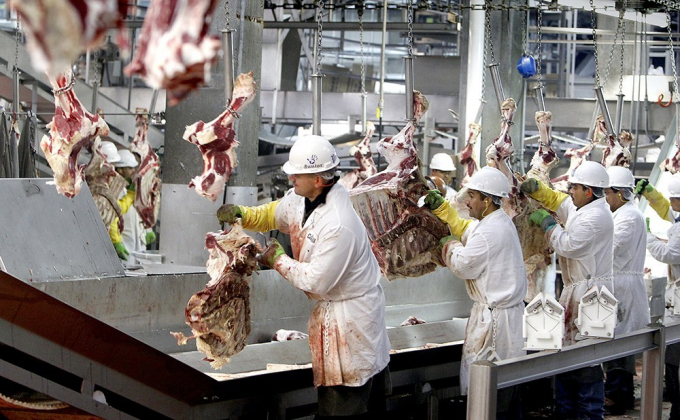 Công nhân trong dây chuyền sản xuất tại cơ sở đóng gói thịt của Cargill ở Dodge City, Kansas, Hoa Kỳ. Ảnh: MCT.