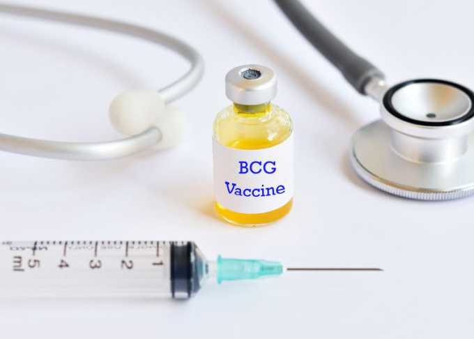 Vacxin Bacillus Calmette-Guerin (BCG) đang được thử nghiệm để chống Covid-19. Ảnh: Getty Images.
