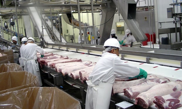 Công nhân chế biến thịt lợn tại một nhà máy công nghệ cao ở Illinois, Hoa Kỳ. Ảnh: AP.