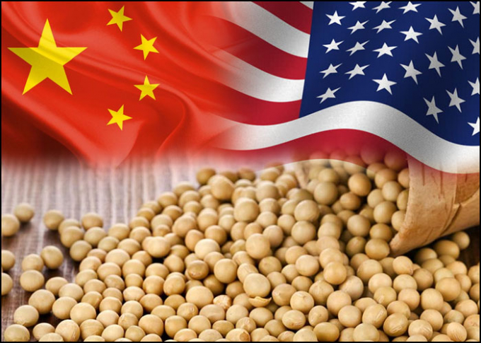 Đối với đậu tương của Mỹ, Trung Quốc là thị trường không thể thay thế. Ảnh minh họa: RTT News.