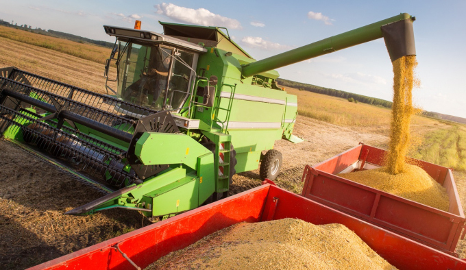 Nông dân Hoa Kỳ thu hoạch đậu tương. Ảnh: Getty Images.
