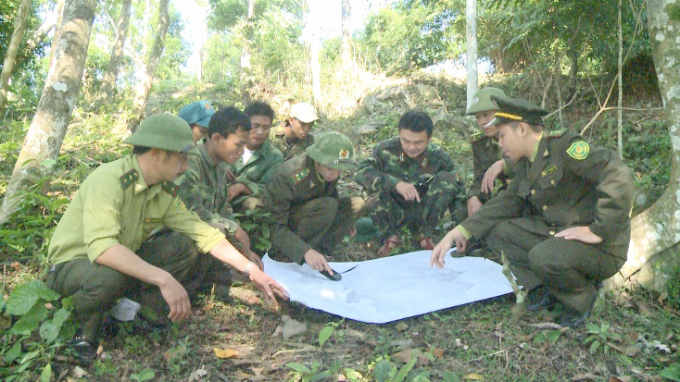 Lực lượng Kiểm lâm Quảng Bình phối hợp với các cơ quan chức năng nỗ lực bảo vệ màu xanh cho những cánh rừng.