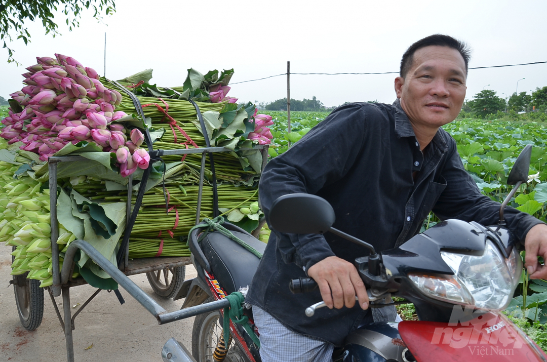 Xe kéo sen sẵn sàng đi khắp Hà Nội để bán. Ảnh: Dương Đình Tường.