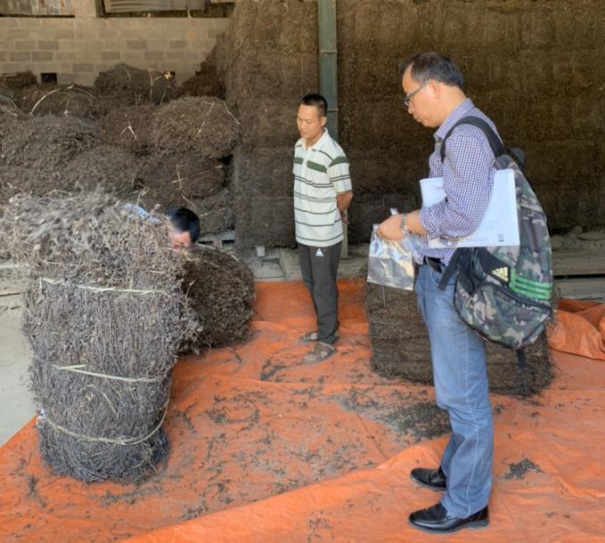 Bộ NN-PTNT chỉ đạo Cục BVTV tiếp tục quyết liệt đàm phán, mở cửa thêm các mặt hàng nông sản xuất khẩu (Trong ảnh: Chuyên gia Trung Quốc kiểm tra cơ sở sơ chế, đóng gói thạch đen của Việt Nam). Ảnh: TL.