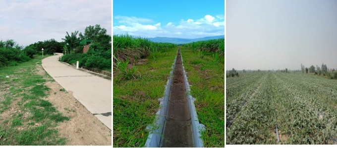 Xây dựng mới các tuyến đường giao thông nông thôn và các tuyến kênh nội đồng của tiểu dự án Ia M’La, Gia Lai. Nhờ có nước tưới những cánh đồng dưa hấu, rau được trồng xanh mướt thay cho vùng trồng sắn cằn cỗi hay vùng đất cát bỏ hoang trước đây.