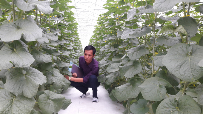 Một mô hình nông nghiệp công nghệ cao tại huyện Quảng Xương.