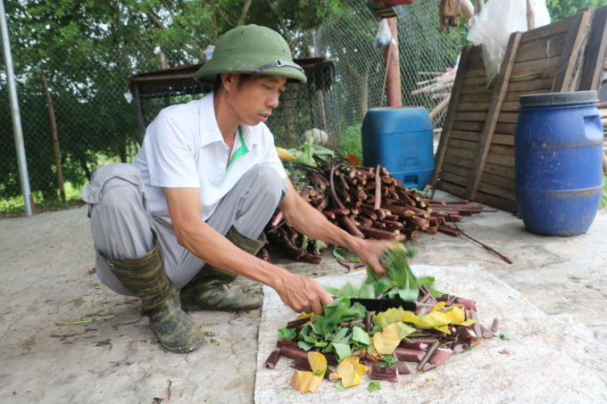 Hanoi livestock breeders will be supported with loans and lands to change to other suitable careers after the prohibition of livestock breeding in the city. Photo: Hung Giang.