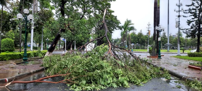 Cây cối bị gió lớn quật gãy ngổn ngang trên đường phố tại Quảng Ngãi, sáng 28/10.
