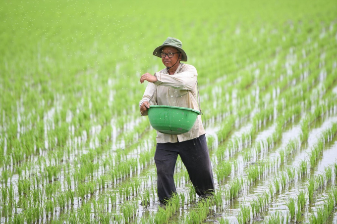 Tham gia dự án VnSAT, lúa gạo ĐBSCL đã nâng cao được giá trị. Ảnh: Trung Chánh.